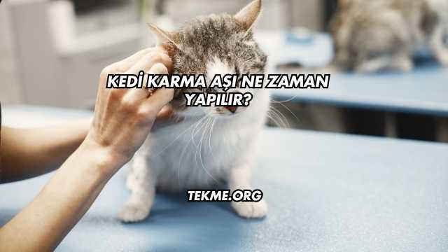 Kedi Karma Aşı Ne Zaman Yapılır?