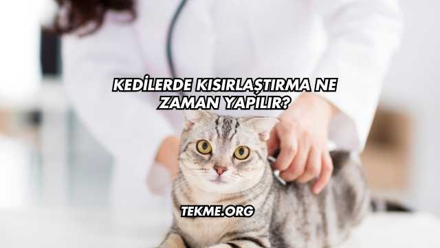 Kedilerde Kısırlaştırma Ne Zaman Yapılır?