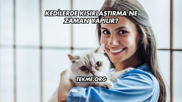 Kedilerde Kısırlaştırma Ne Zaman Yapılır?