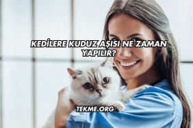 Kedilere Kuduz Aşısı Ne Zaman Yapılır?