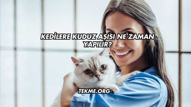 Kedilere Kuduz Aşısı Ne Zaman Yapılır?