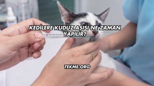 Kedilere Kuduz Aşısı Ne Zaman Yapılır?