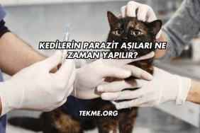 Kedilerin Parazit Aşıları Ne Zaman Yapılır?