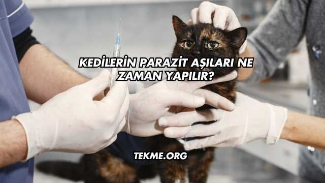 Kedilerin Parazit Aşıları Ne Zaman Yapılır?