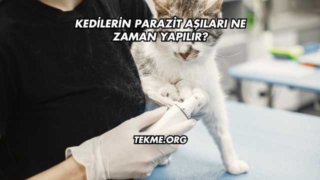 Kedilerin Parazit Aşıları Ne Zaman Yapılır?