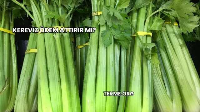 Kereviz Ödem Attırır mı?