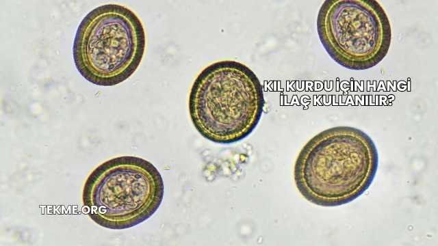 Kıl Kurdu İçin Hangi İlaç Kullanılır?