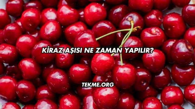 Kiraz Aşısı Ne Zaman Yapılır?