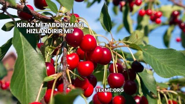 Kiraz Metabolizmayı Hızlandırır mı?