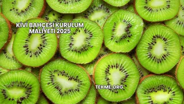 Kivi Bahçesi Kurulum Maliyeti 2025