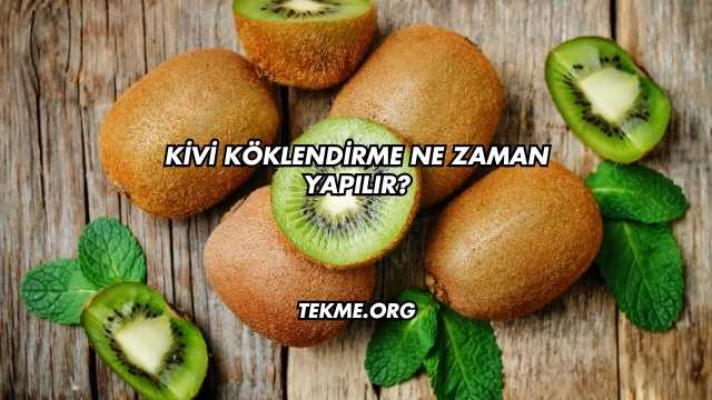 Kivi Köklendirme Ne Zaman Yapılır?
