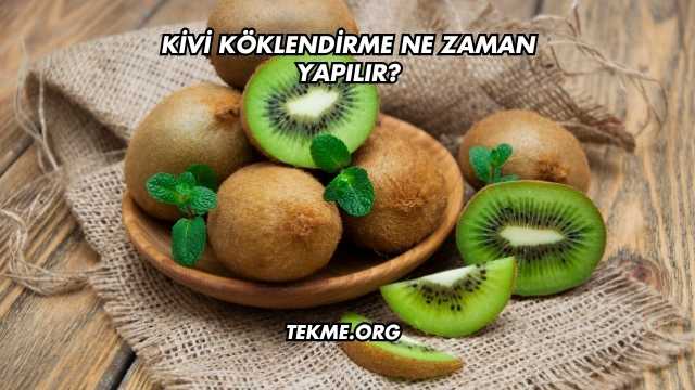 Kivi Köklendirme Ne Zaman Yapılır?