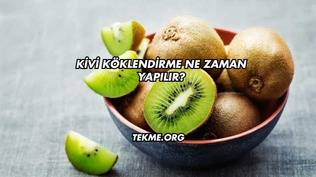 Kivi Köklendirme Ne Zaman Yapılır?