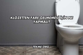 Klozetten Fare Gelmemesi İçin Ne Yapmalı?