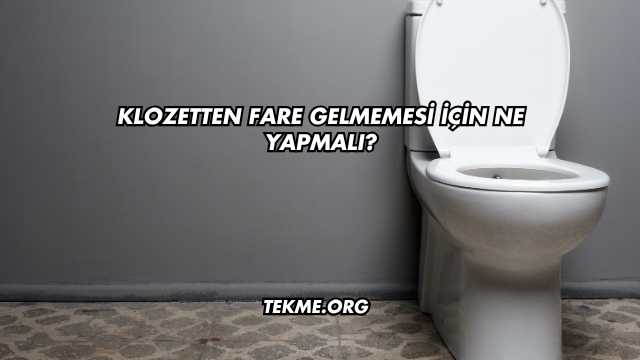 Klozetten Fare Gelmemesi İçin Ne Yapmalı?