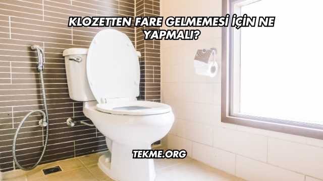Klozetten Fare Gelmemesi İçin Ne Yapmalı?