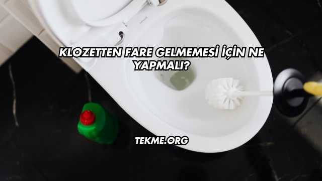 Klozetten Fare Gelmemesi İçin Ne Yapmalı?