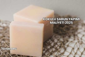 Kokulu Sabun Yapımı Maliyeti 2025