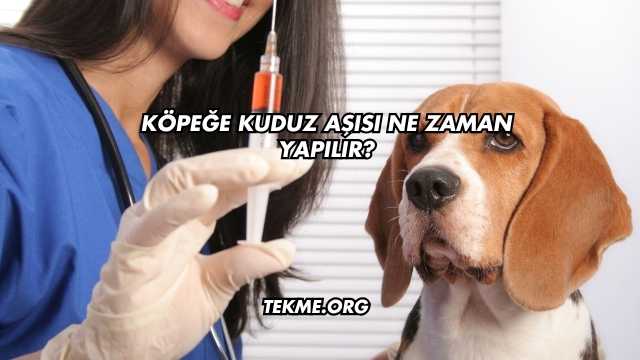 Köpeğe Kuduz Aşısı Ne Zaman Yapılır?