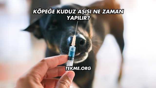 Köpeğe Kuduz Aşısı Ne Zaman Yapılır?