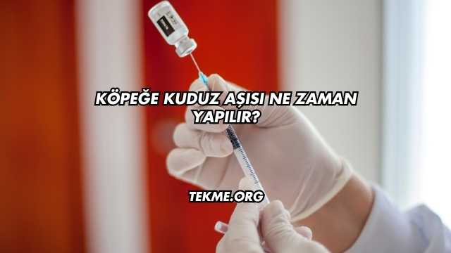 Köpeğe Kuduz Aşısı Ne Zaman Yapılır?