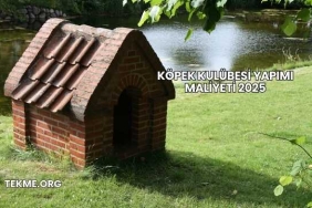 Köpek Kulübesi Yapımı Maliyeti 2025