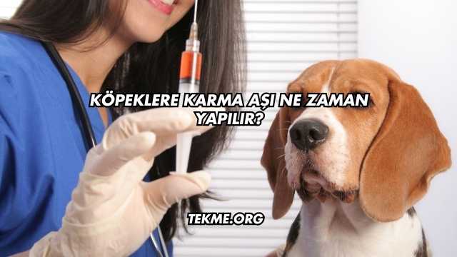 Köpeklere Karma Aşı Ne Zaman Yapılır?