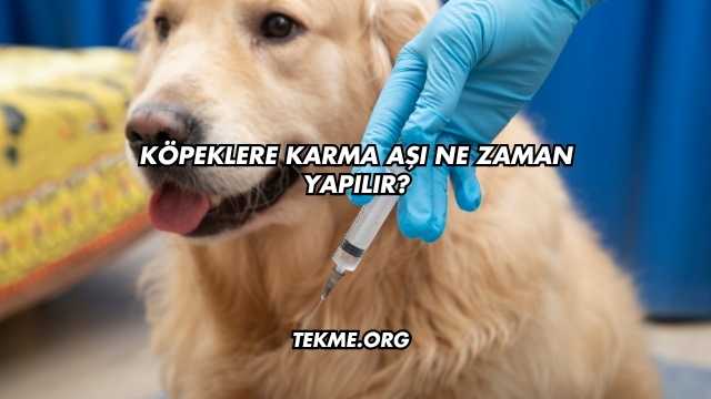 Köpeklere Karma Aşı Ne Zaman Yapılır?
