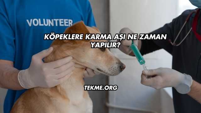 Köpeklere Karma Aşı Ne Zaman Yapılır?