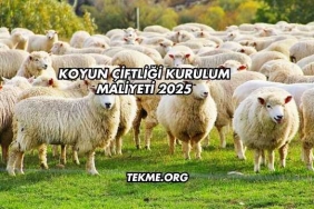 Koyun Çiftliği Kurulum Maliyeti 2025