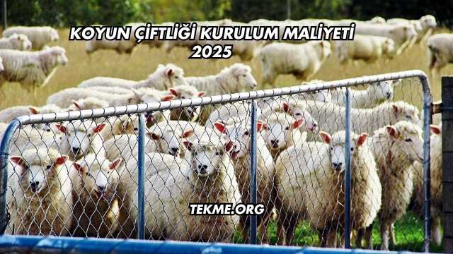 Koyun Çiftliği Kurulum Maliyeti 2025