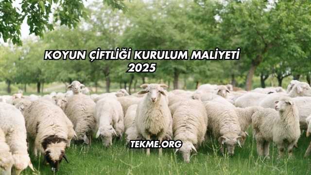 Koyun Çiftliği Kurulum Maliyeti 2025