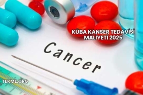 Küba Kanser Tedavisi Maliyeti 2025