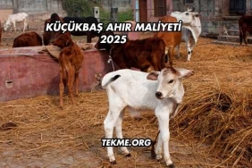 Küçükbaş Ahır Maliyeti 2025