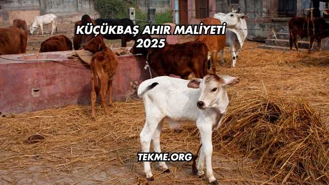 Küçükbaş Ahır Maliyeti 2025