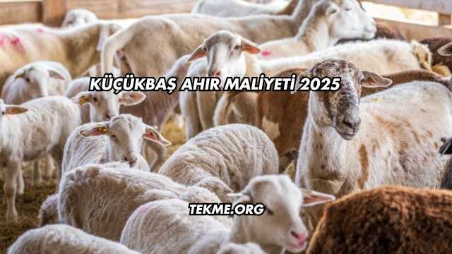 Küçükbaş Ahır Maliyeti 2025