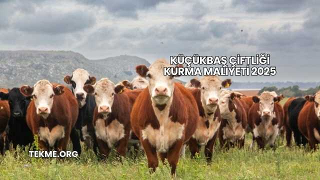 Küçükbaş Çiftliği Kurma Maliyeti 2025