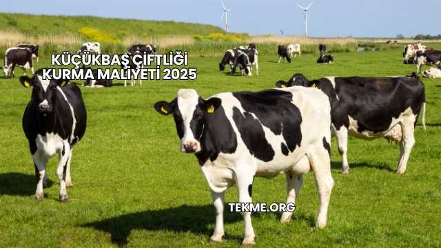 Küçükbaş Çiftliği Kurma Maliyeti 2025