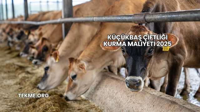 Küçükbaş Çiftliği Kurma Maliyeti 2025