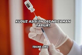 Kuduz Aşısı En Geç Ne Zaman Yapılır?