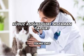 Kuduz Aşısı Kedilere Ne Zaman Yapılır?