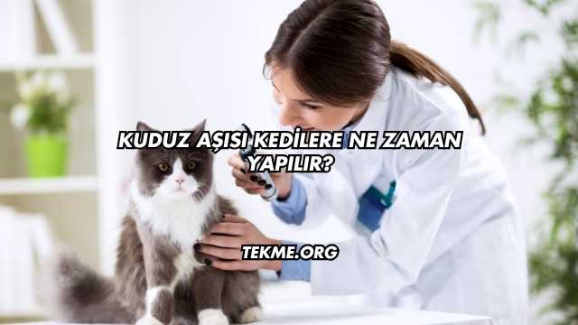 Kuduz Aşısı Kedilere Ne Zaman Yapılır?