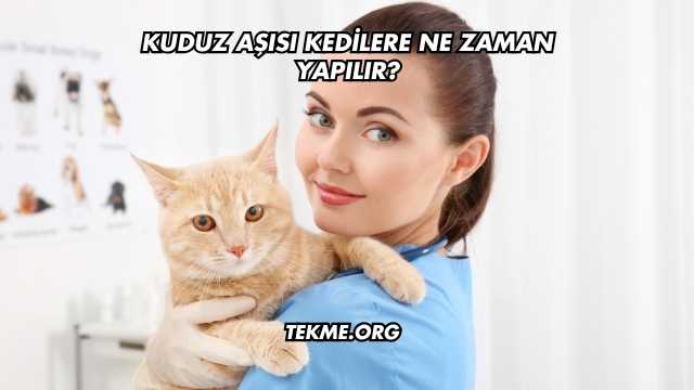 Kuduz Aşısı Kedilere Ne Zaman Yapılır?