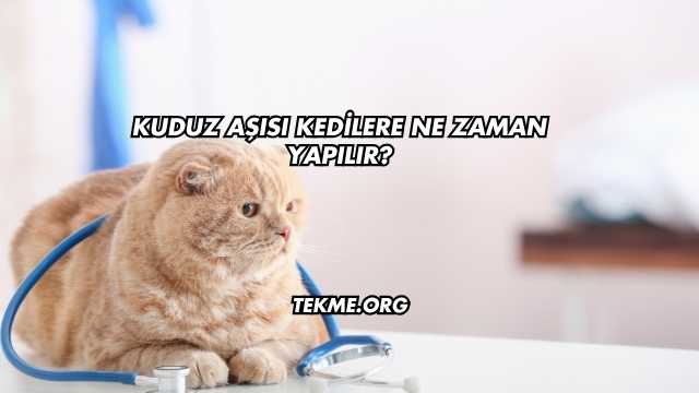 Kuduz Aşısı Kedilere Ne Zaman Yapılır?