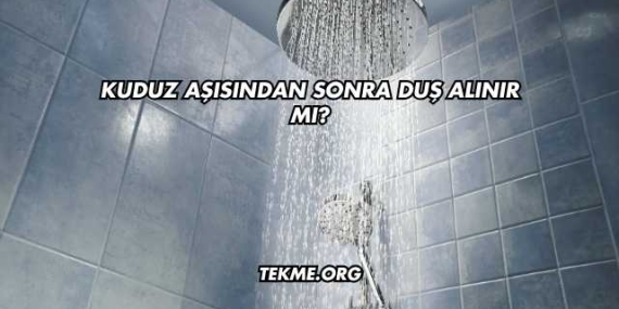 Kuduz Aşısından Sonra Duş Alınır mı?