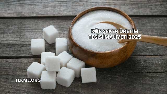 Küp Şeker Üretim Tesisi Maliyeti 2025