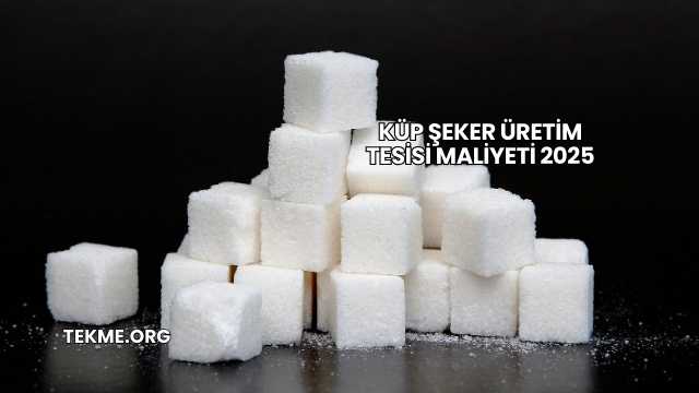 Küp Şeker Üretim Tesisi Maliyeti 2025