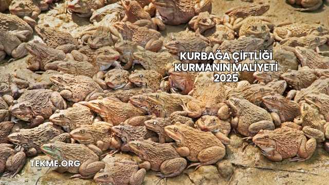 Kurbağa Çiftliği Kurmanın Maliyeti 2025