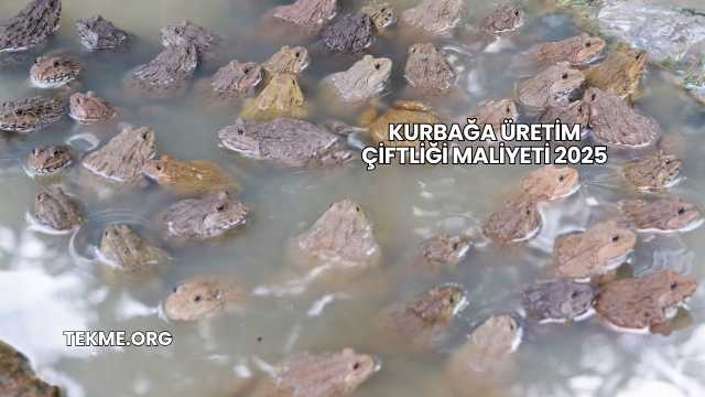 Kurbağa Üretim Çiftliği Maliyeti 2025