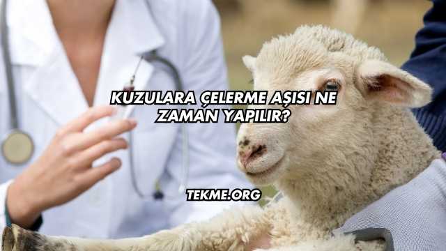Kuzulara Çelerme Aşısı Ne Zaman Yapılır?